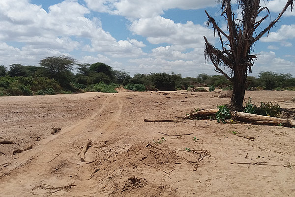 Auf dem Weg nach Mashuru im Bezirk Kajiado zeigt sich das ganze Ausmaß der Dürre. 